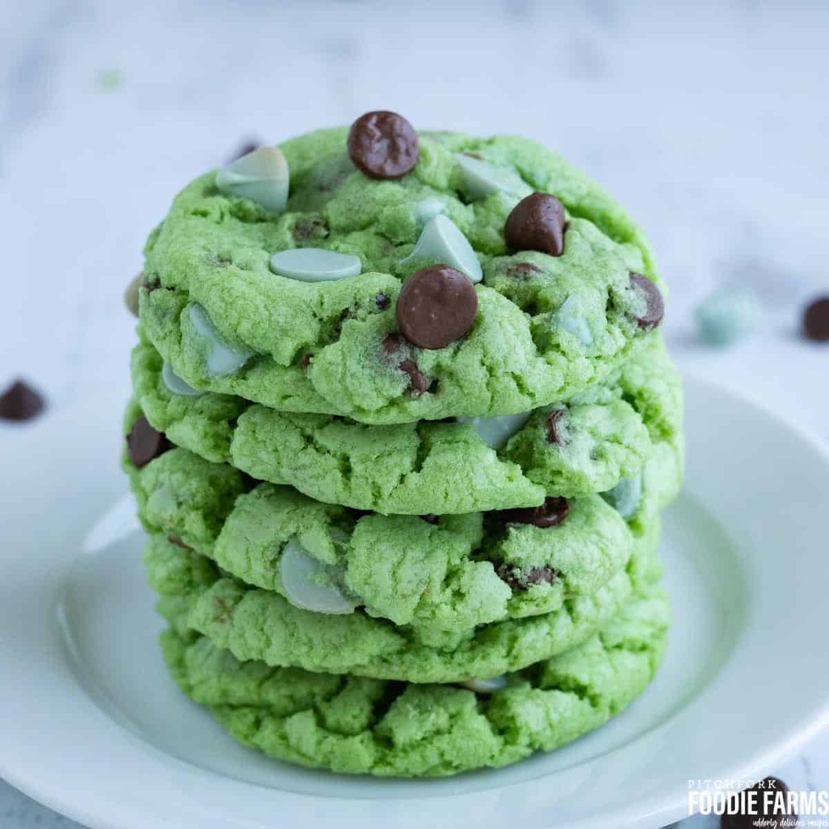 Mint Chocolate Chip Cookies - Pitchfork Foodie Farms
