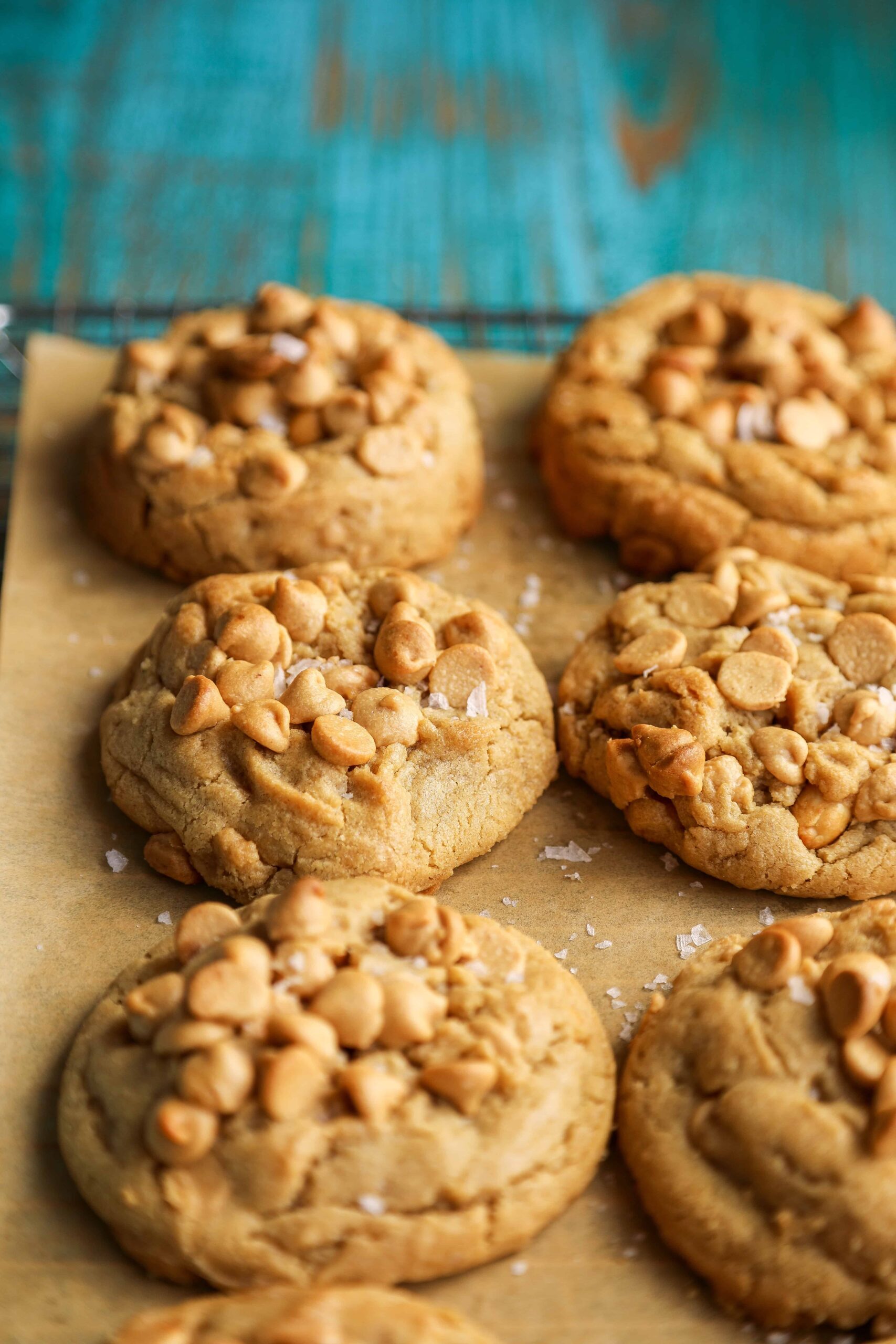 Triple Peanut Butter Cookies - Fat Girl Hedonist